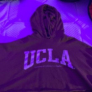 brown UCLA crop top